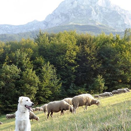 Agriturismo Lu Formaggio Hotel Castelli Zewnętrze zdjęcie