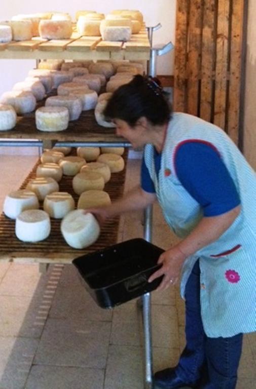 Agriturismo Lu Formaggio Hotel Castelli Zewnętrze zdjęcie