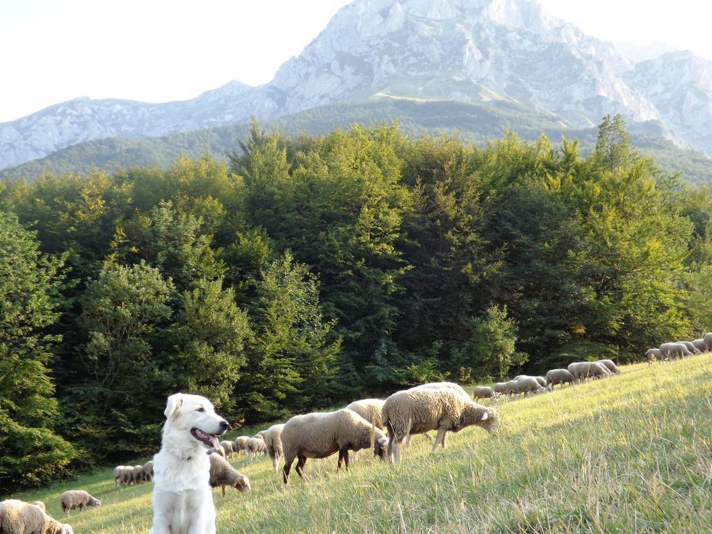 Agriturismo Lu Formaggio Hotel Castelli Zewnętrze zdjęcie