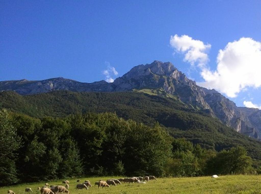 Agriturismo Lu Formaggio Hotel Castelli Zewnętrze zdjęcie